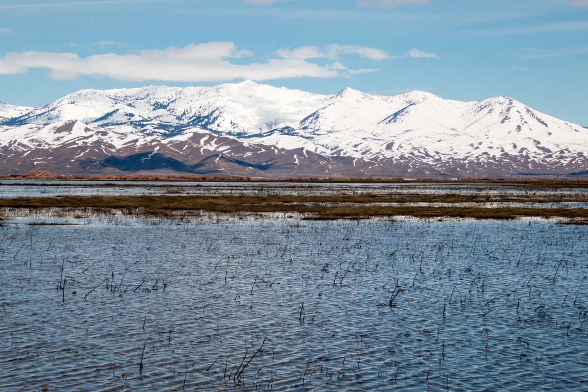Camas Prairie Centennial Park in Camas County